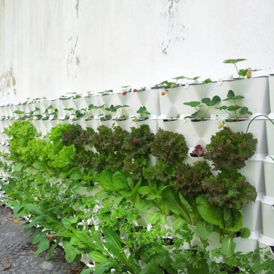 Chậu Trồng Rau Đứng Nhập Khẩu (Combo 4 bộ) kèm bộ tự Tưới nhỏ giọt và tự bón phân cho rau tự động