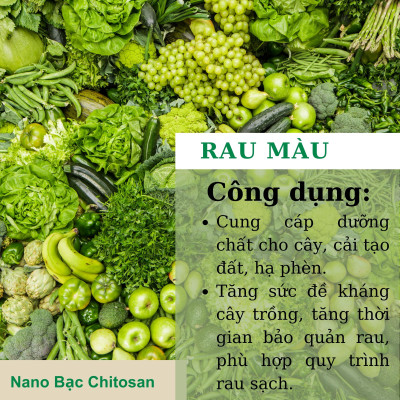 Phân bón lá vi lượng Super-Thives Plus NANO BẠC CHITOSAN cung cấp các nguyên tố vi lượng, tăng sức đề kháng và kích thích tăng trưởng cho cây trồng