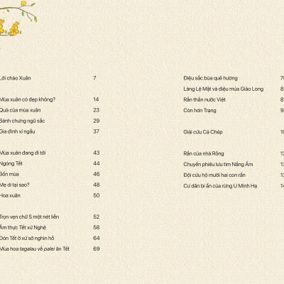 Sách - Nhâm Nhi Tết Ất Tỵ - Ấn Phẩm Đặc Biệt - Bìa Cứng