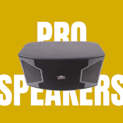 Loa Karaoke gia đình Zenbos LZ-318 Bass 25 cm, 3 đường tiếng(Hàng Chính Hãng)