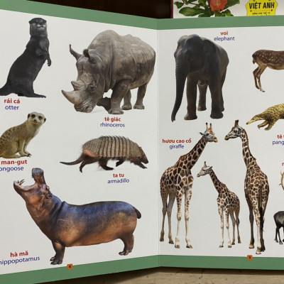 Combo 02 cuốn từ điển bằng hình song ngữ: Loài vật quanh em; hoa quả rau củ