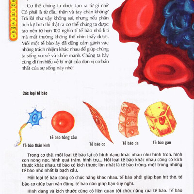 Thế Giới Những Điều Chưa Biết (Tập 5) - Cơ Thể Người