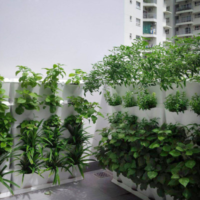 Chậu Trồng Rau Đứng Nhập Khẩu (Combo 4 bộ) kèm bộ tự Tưới nhỏ giọt và tự bón phân cho rau tự động