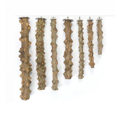 1 cây đậu gỗ gạo siêu cứng dùng cho chim, vẹt đứng