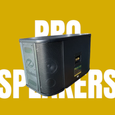 Loa Karaoke gia đình Zenbos LZ-318 Bass 25 cm, 3 đường tiếng(Hàng Chính Hãng)