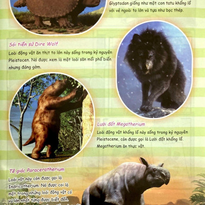 Bộ Sách The Young Scientist - Truyện Tranh Khoa Học Cho Trẻ Em - Tập 5 - Level 1+2+3 (Bộ 3 Cuốn) - Tặng Kèm Túi Gôm 3D HooHooHaHa Ngẫu Nhiên