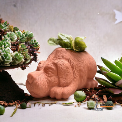 Chậu Gốm Đất Nung Hình Cún  Dài 27cm X Cao 15cm