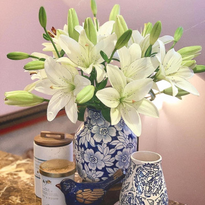 Eyeliner Lily (hoa Lily Eyeliner)