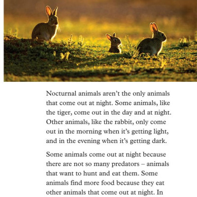 Oxford Read and Discover 4 Animals at Night
