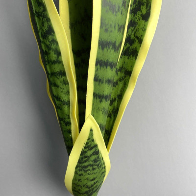 Cành lưỡi hổ giả cao cấp có 3 kích thước - Size từ 66cm đến 73cm - Cây giả, hoa lụa Decor trang trí nhà cửa