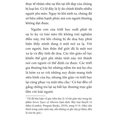 Mèo Và Triết Lý Nhân Sinh