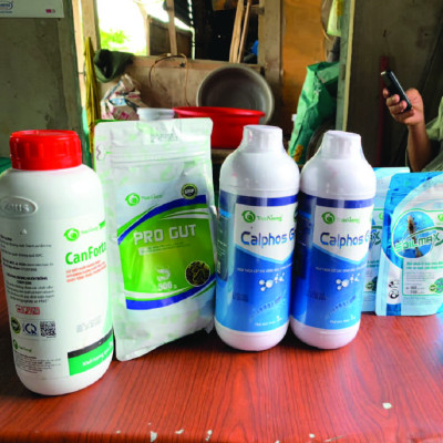 SIÊU TĂNG TRỌNG CHO TÔM CÁ CANFORTA