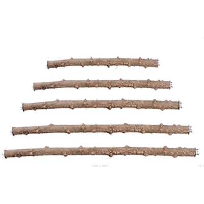 [HÀNG MỚI, RẺ, ĐẸP] 1 CÂY ĐẬU GỖ GẠO SIÊU CỨNG (CÓ PASS 2 ĐẦU) LẮP VÀO LỒNG CHO CHIM, MỌI DÒNG VẸT ĐẬU