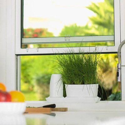 CHẬU TRỒNG RAU TỰ DƯỠNG NHẬP KHẨU CHÂU ÂU TỰ ĐỘNG TRONG 2 THÁNG, SỬ DỤNG 10 NĂM