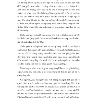 Nắng Xuyên Qua Vòm Lá