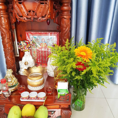 Combo 50 gói Nước cắm hoa lâu tàn dạng bột 5gr của Israel giúp hoa Hoàng Anh và hoa khác tươi lâu và hạn thay nước cho hoa