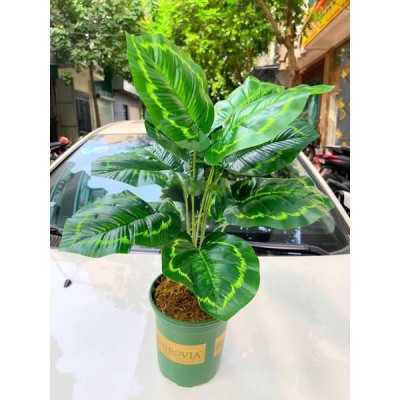 Cây trầu bà giả - 12 lá - cao 60cm - Cây giả, hoa lụa trang trí nhà cửa