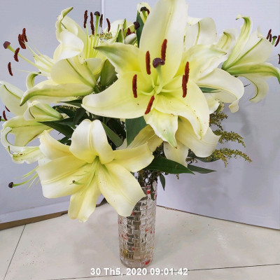 Set 50 gói Bột Dung Dịch Dưỡng Hoa LILY Longlife Nhập khẩu Israel giúp hoa Lily tươi lâu gấp 2 lần, cánh hoa đậm màu và 14 ngày không thay nước cắm hoa (1 gói 5gr pha được 0.5 lít nước) 