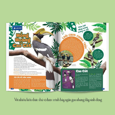 Thảo Cầm Viên Sài Gòn - Kho Báu Trong Lòng Thành Phố (Bìa Mềm) - Bản Quyền