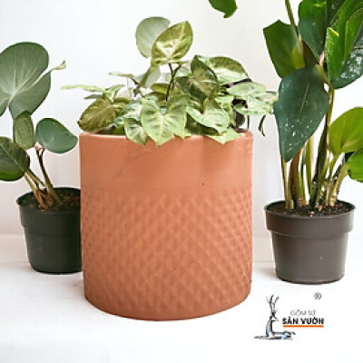 Chậu Gốm Đất Nung Vân Trụ Kim Cương  D14cm X H13cm