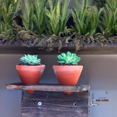 Bộ Chậu Treo Gốm Đất Nung Trồng Sen Đá