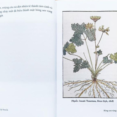 Sách - Cỏ Cây Hoa Lá Và Lời Thủ Thỉ Của Thiên Nhiên Với Con Người