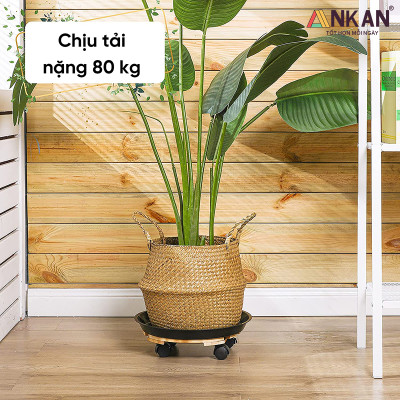 Combo 2 Đế Lót Chậu Cây Có Bánh Xe ANKAN 30cm Gỗ Tràm Mặt Tròn Màu Vàng, Chính Hãng