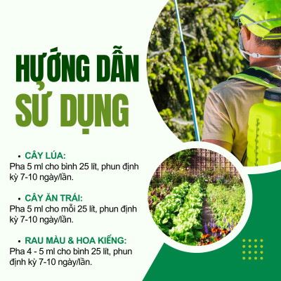 Phân bón lá vi lượng Super-Thives Plus NANO BẠC CHITOSAN cung cấp các nguyên tố vi lượng, tăng sức đề kháng và kích thích tăng trưởng cho cây trồng