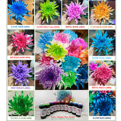 Nước Màu Nhuộm Hoa Tươi Màu Cam Israel (Chai 1 Lít) Color Sodium For Fresh Flowers