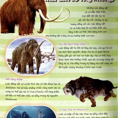 Bộ Sách The Young Scientist - Truyện Tranh Khoa Học Cho Trẻ Em - Tập 5 - Level 1+2+3 (Bộ 3 Cuốn) - Tặng Kèm Túi Gôm 3D HooHooHaHa Ngẫu Nhiên