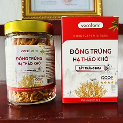 Combo 3 Lọ khô 30gram Đông trùng hạ thảo sấy [Mua 2 được 3] lọ thủy tinh