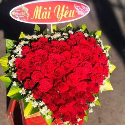 Dinh Dưỡng Giữ Hoa Hồng cắm bình Lâu Tàn - Food For Cut Flowers (Set 50 gói loại 5gr) giúp hoa luôn tươi mớ, cứng cáp gấp 2 lần và trong 14 ngày không thối nước hay cắt tỉa gốc hoa, nhập khẩu Israel