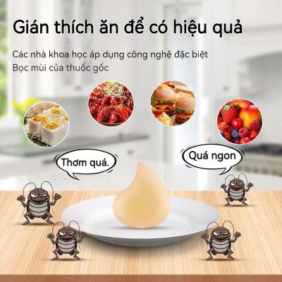 Combo 5 hộp thuốc diệt gián sinh học Housheng, diệt tận gốc tất cả các loại gián, hiệu quả, an toàn.
