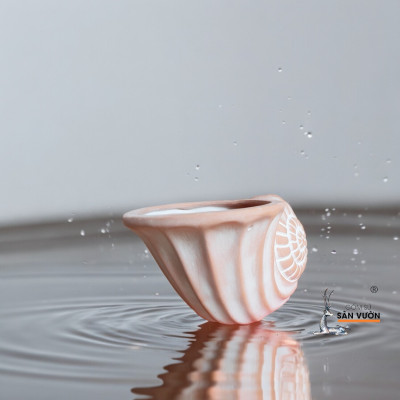 Chậu Đất Nung Hình Vỏ Sò Nhỏ