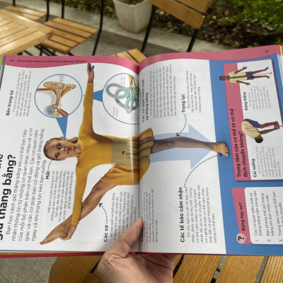  (Bìa cứng in màu – tủ sách DK) TẠI SAO MÁU MÀU ĐỎ? - Với 200 câu hỏi đáng kinh ngạc về cơ thể người – DK - Ngọc Anh dịch - Đinh Tị Books - NXB Hà Nội