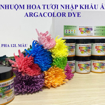 Thuốc Bột Nhuộm Hoa Tươi  màu thực phẩm Ấn Độ (Combo 3 hộp tùy màu) giúp đổi màu hoa cắt cành (1 hủ pha 12L nước màu)