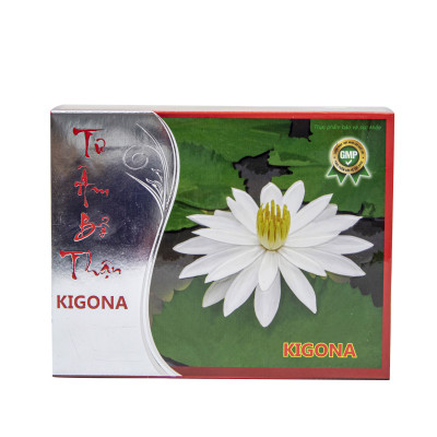 TƯ ÂM BỔ THẬN - NĂNG ĐỘNG - BỔ THẬN, GIẢM ĐAU LƯNG, TIỂU ĐÊM