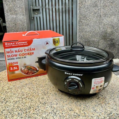Nồi Nấu Chậm Đạt Tường DTSC-3.5S 3,5l - Hàng Chính Hãng