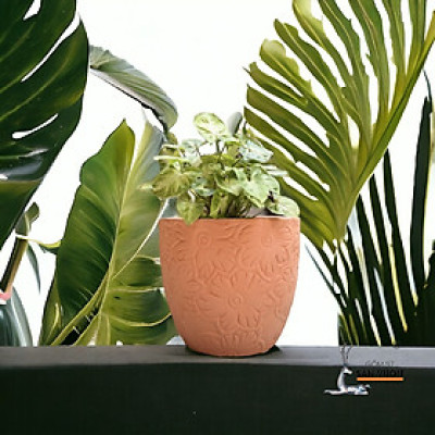 Chậu Gốm Đất Nung Vân Hoa Cúc  D13cm X H10cm