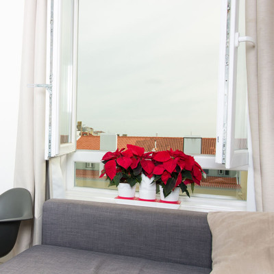 Chậu Cây Tự Dưỡng Thông Minh nhập khẩu Bồ Đào Nha giúp cây trồng tự động tưới, tự bón phân và dành cho người bận rộn nhưng yêu thiên nhiên