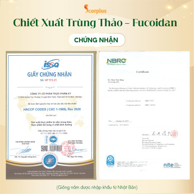 [LOẠI THƯỢNG HẠNG] Nước chiết xuất trùng thảo fucoidan không đường SCORIUS 70ml bồi bổ sức khỏe