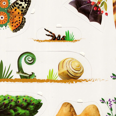 100 Từ Đầu Tiên Về Các Loài Động Vật - Sách Lật Mở 