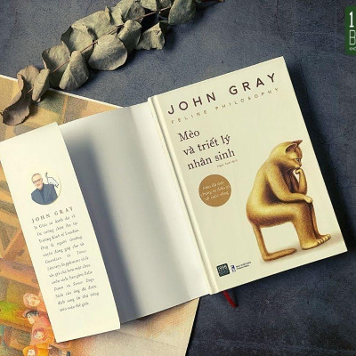 Mèo Và Triết Lý Nhân Sinh
