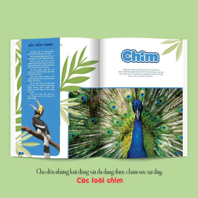 Thảo Cầm Viên Sài Gòn - Kho Báu Trong Lòng Thành Phố (Bìa Mềm) - Bản Quyền