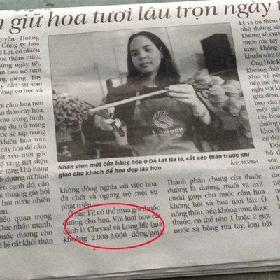 BỘT DƯỠNG HOA TƯƠI LÂU LONGLIFE SG ISRAEL DÀNH SHOP HOA BẢO QUẢN HOA CẮM LẴNG TƯƠI LÂU VÀ HẠN CHẾ THAY HOA ĐỊNH KỲ