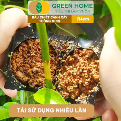 Bầu Chiết Cành GreenHome, R4cm(1 Thùng 200 CÁI), Tăng Khả Năng Ra Rễ, Phù Hợp Với Hoa Hồng, Bonsai