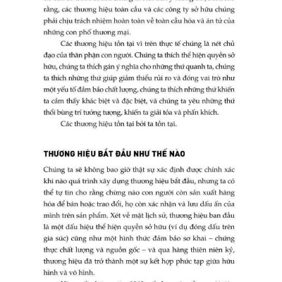 Những Ngộ Nhận Về Xây Dựng Thương Hiệu - Xóa Bỏ Hiểu Nhầm Và Trở Thành Chuyên Gia Thương Hiệu