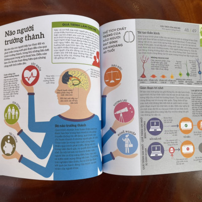 HIỂU HẾT VỀ NÃO BỘ - TỦ SÁCH DK -