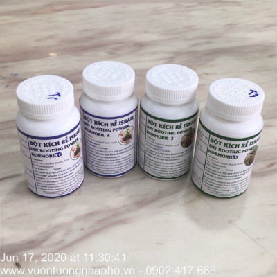 Tự Giâm Chiết Hoa Hồng tại nhà bằng Bột Kích rễ có trị nấm bệnh nhập khẩu Israel ( Hủ 100gr) dành cho cây thân gỗ hiệu quả và sát khuẩn vết cắt