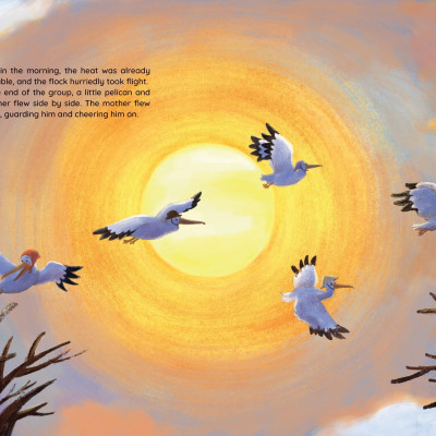 Sách - The Loving Little Pelican